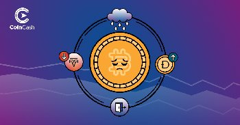 Bitcoin Hodler hírösszefoglaló - 17. hét
